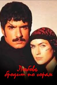 Любовь бродит по горам - постер